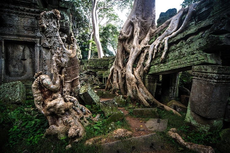 Alessandro Vannucci-Angkor-gallery